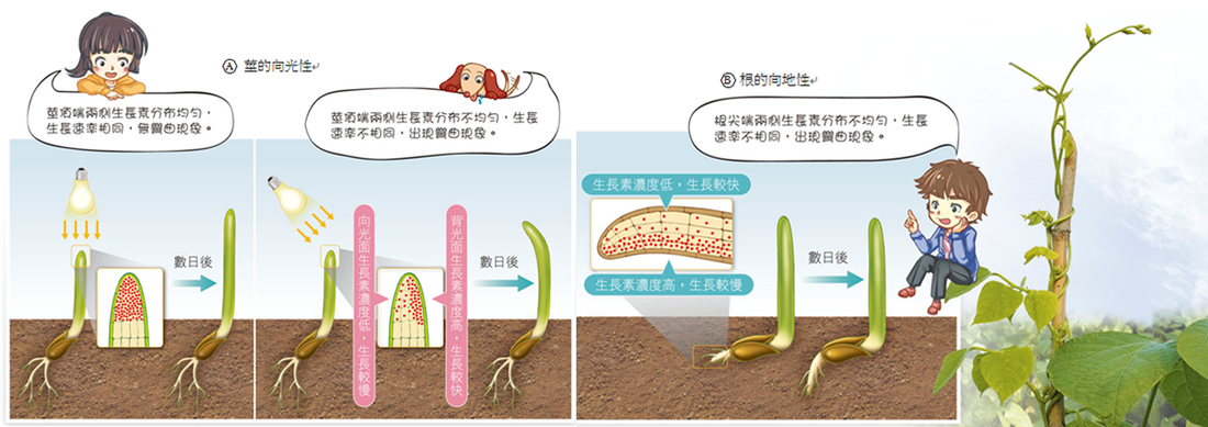 华体会官方网站入口-若获得500万赔偿金,蓝军不会阻止萨里去尤文(图4) 华体会官网下载