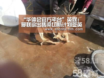 “华体会官方平台”英媒：曼联欲出售桑切斯计划签英超两当红新星