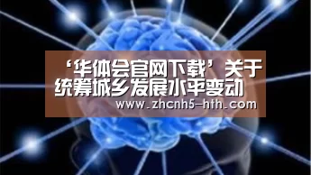 ‘华体会官网下载’关于统筹城乡发展水平变动趋势及影响因素的研究综述(图3) 华体会体育app下载